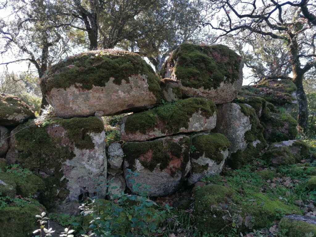 Simulated nuragical excavation