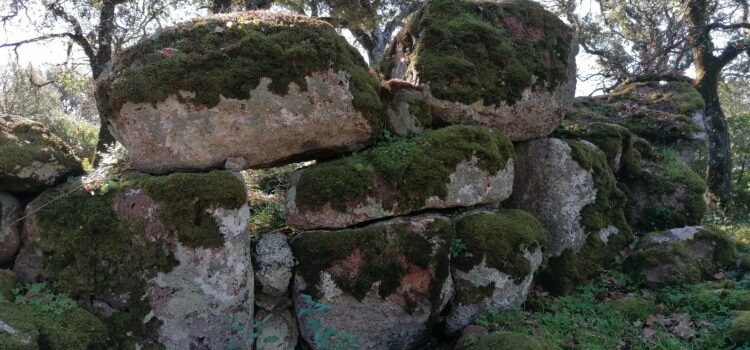 Simulated nuragical excavation Simulated nuragical excavation