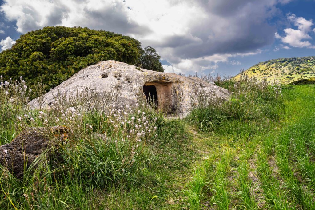 The First Human Presences