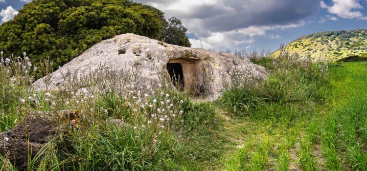 The First Human Presences The First Human Presences